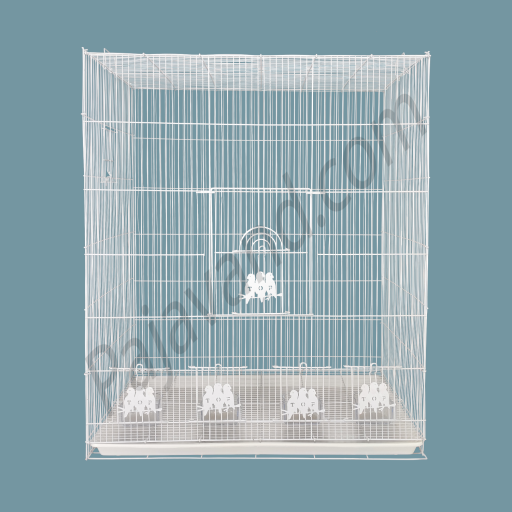 Pajavand Cockatiel Bird Cage – Size 5