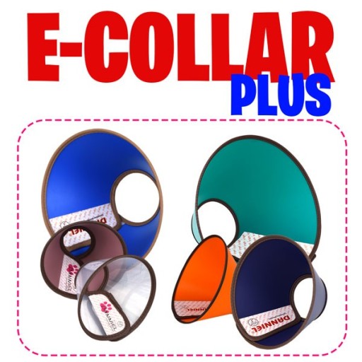 E-COLLAR