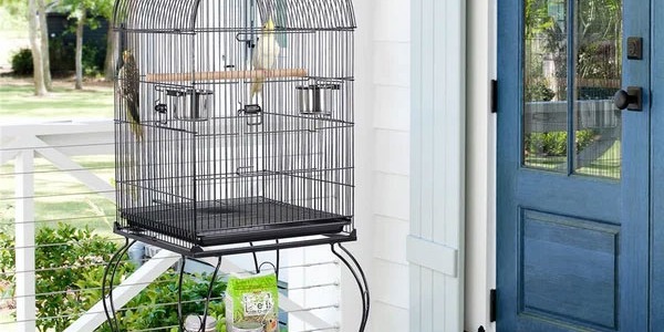 What are the characteristics of a suitable parrot cage?