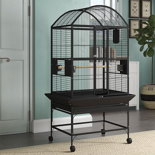 Guide to buying a bird cage