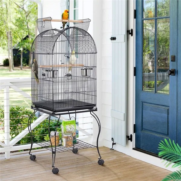 What are the characteristics of a suitable parrot cage?